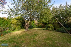 Garden- click for photo gallery